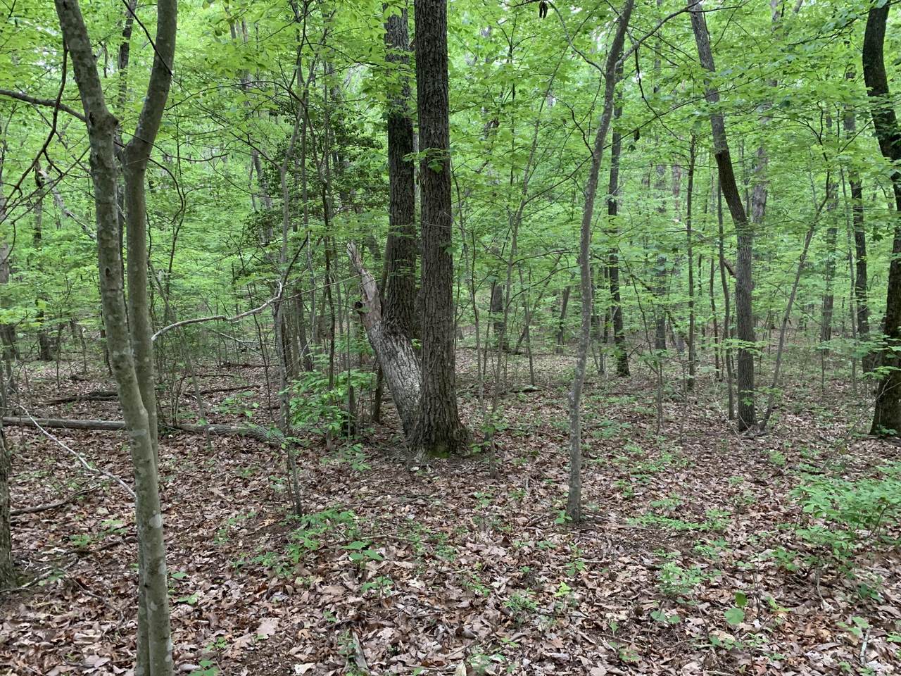 000 Stewart Lane - Photo 1