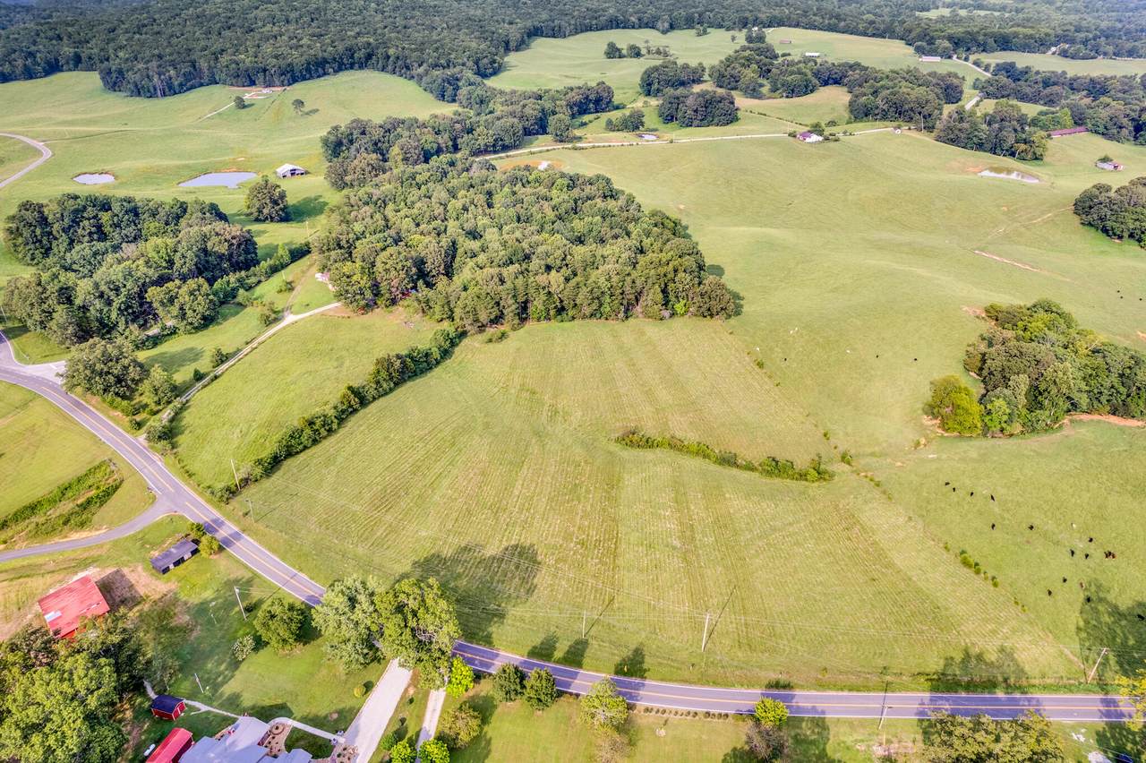 0 Bone Cave Road - Photo 1