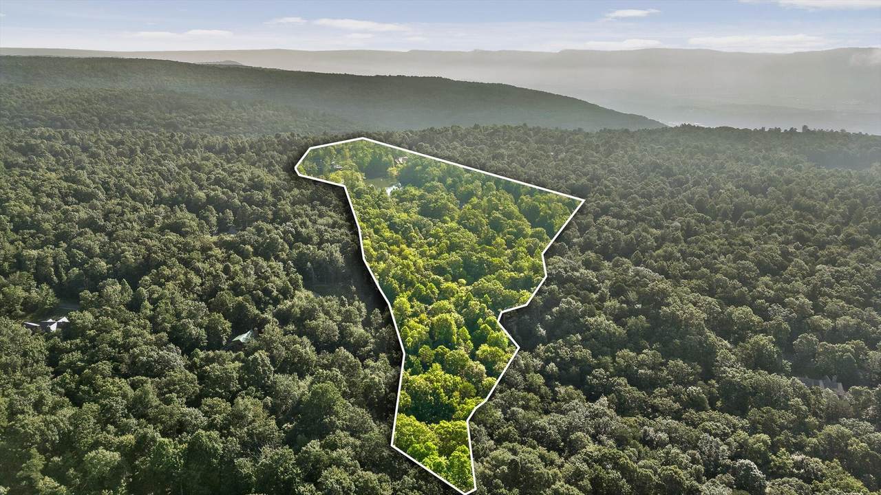 89 No Name Drive - Photo 1