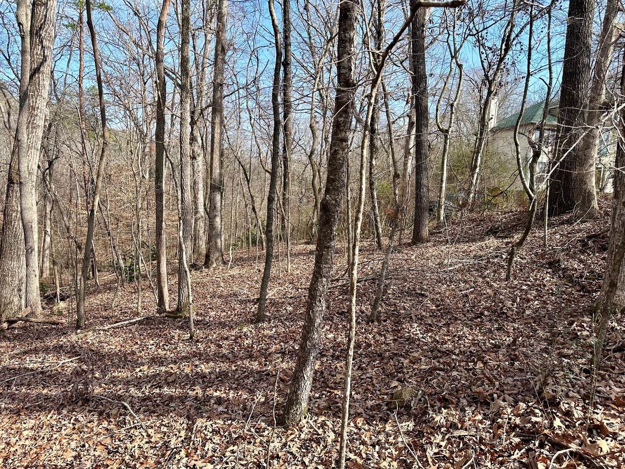 0 Lodestone Drive - Photo 1