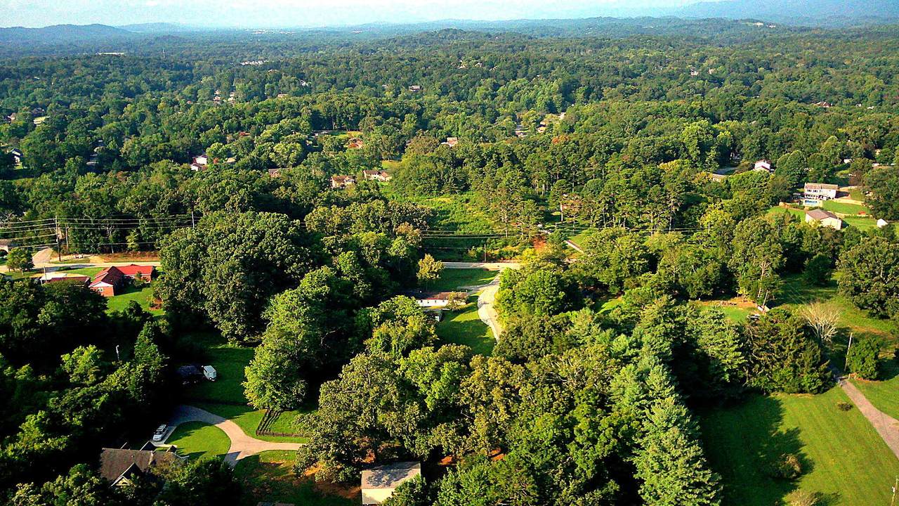 1343 Thrasher Pike - Photo 1