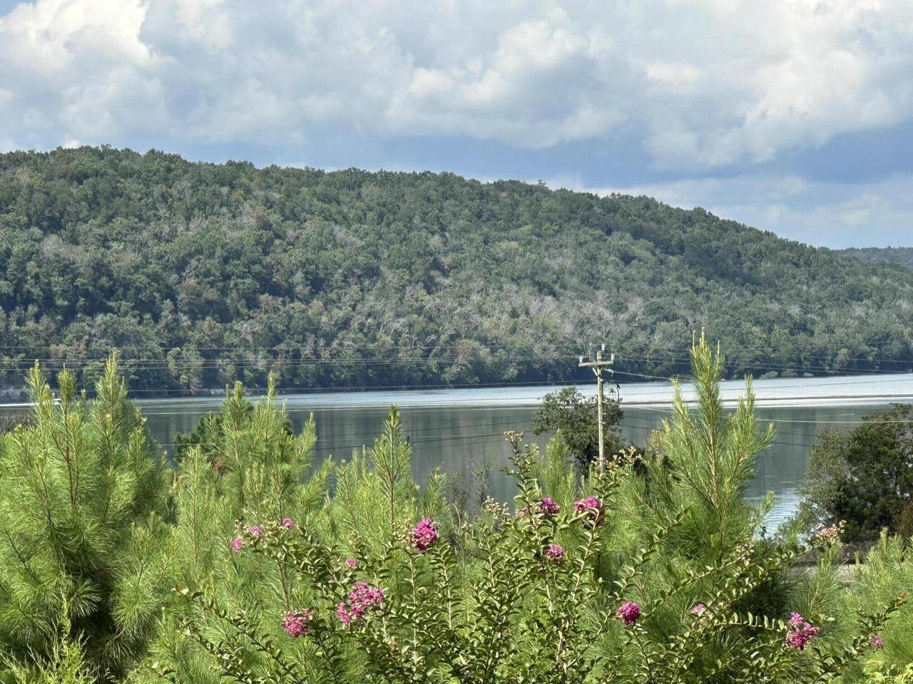 Lot #6 Highway 156 - Photo 1