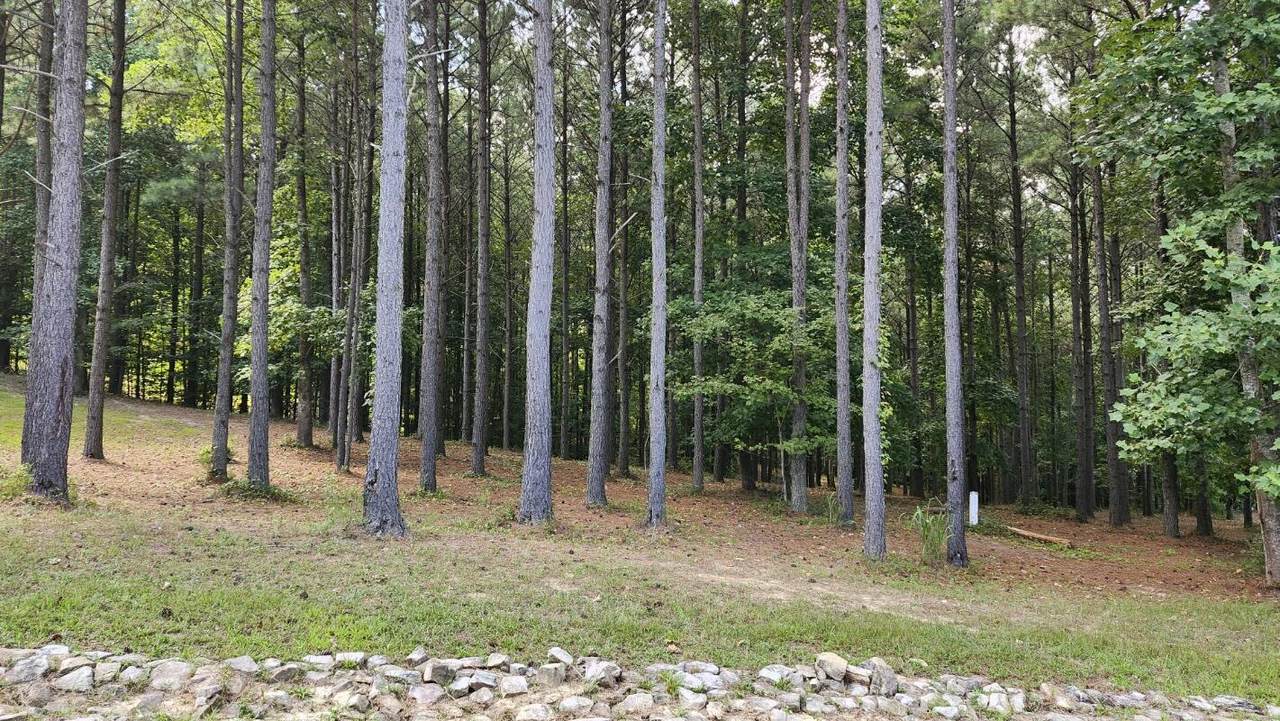 201/225-Lots 119-120 Compass Drive - Photo 1