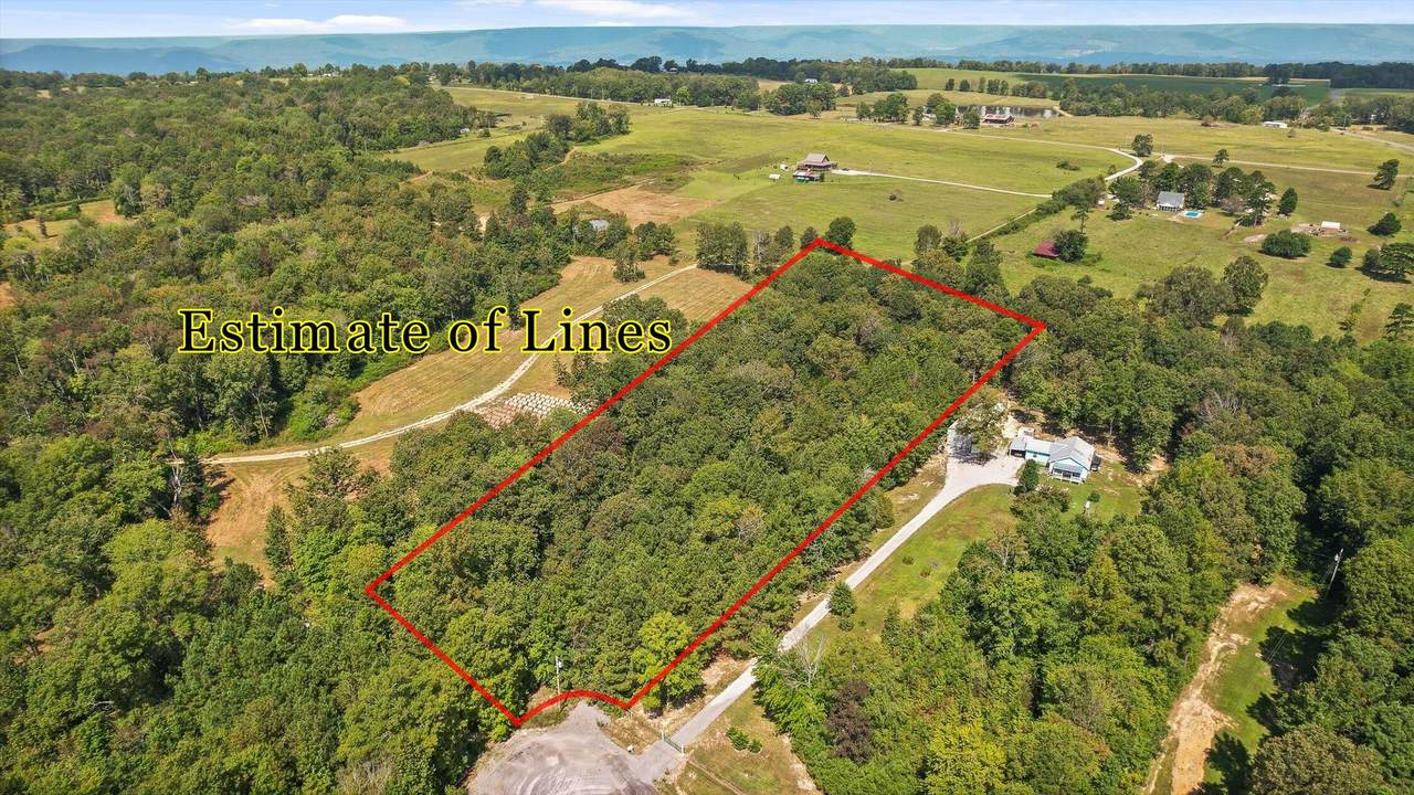 830 County Road 814 - Photo 1