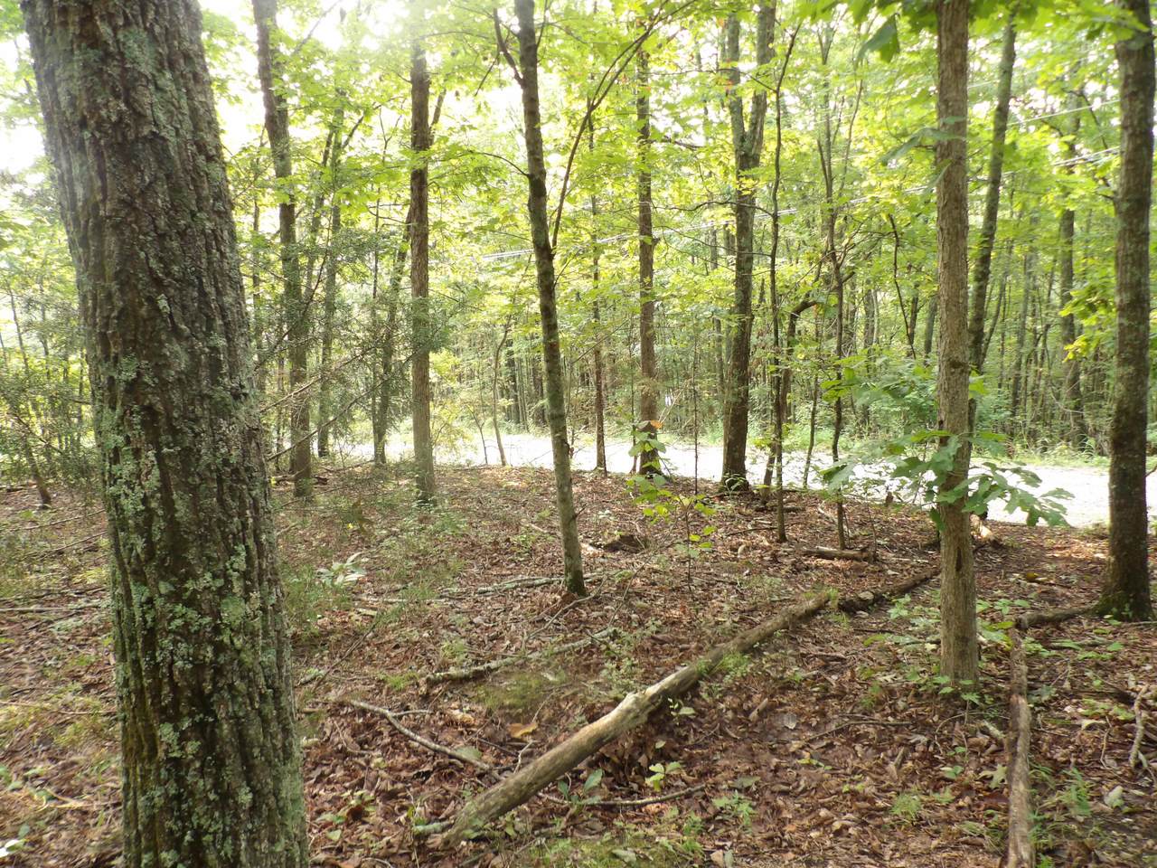 01 Johnson Lp Road - Photo 1