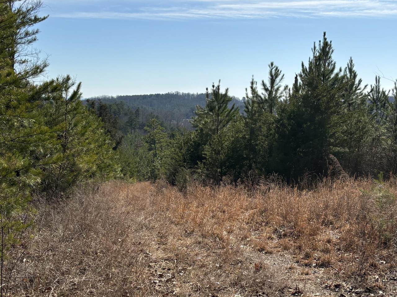 0 Vaughn Mill Road - Photo 1