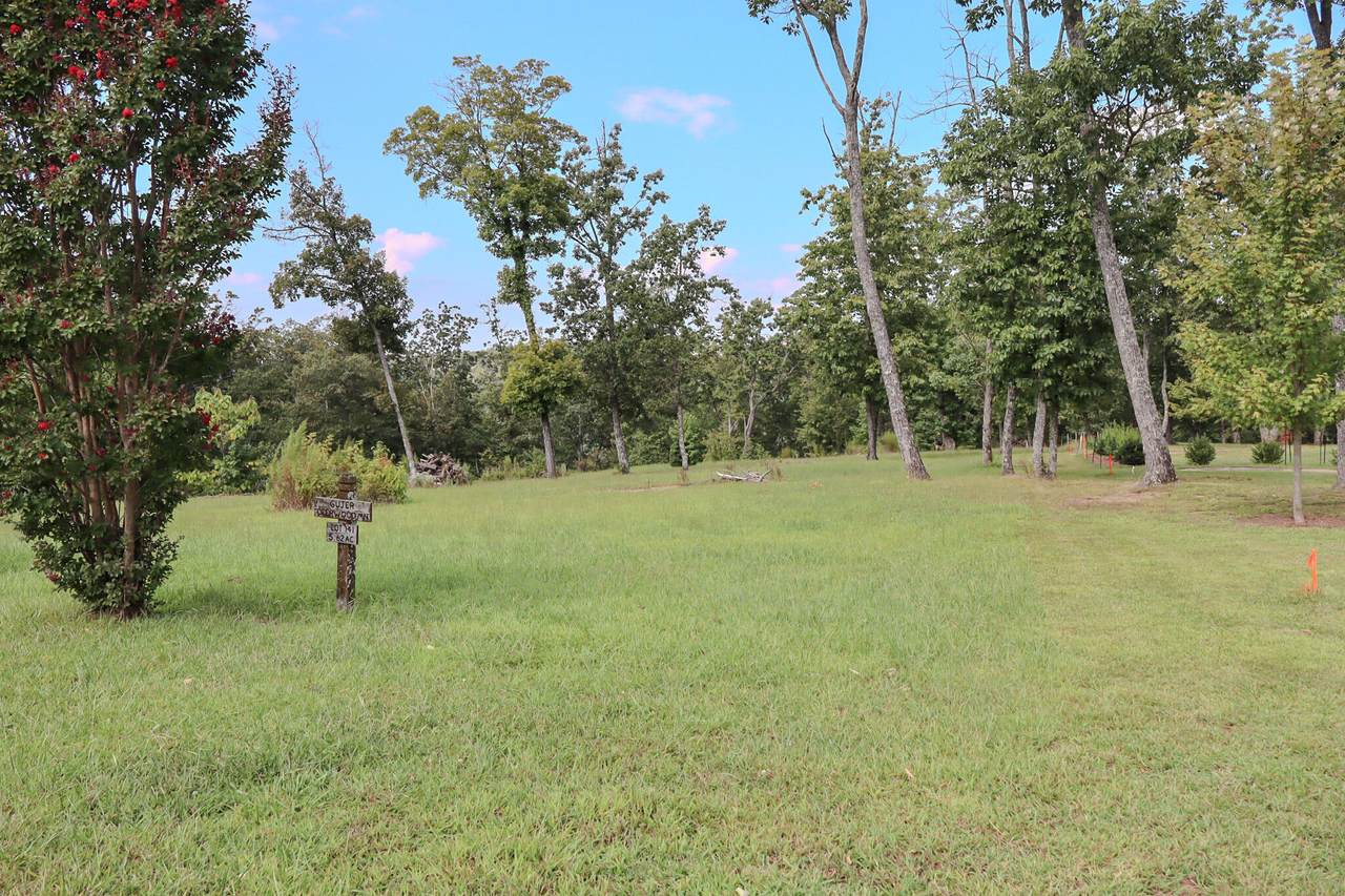 0-Lot 141 River View Court - Photo 1