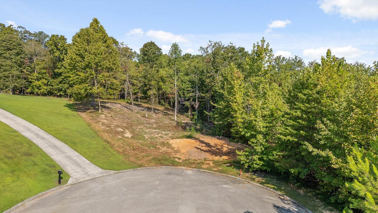 1046 Pendall Lane - Photo 1