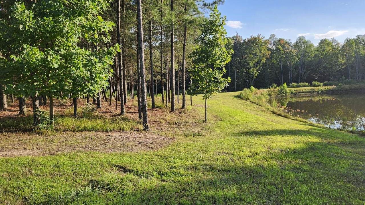 705 Crockett Loop - Photo 1