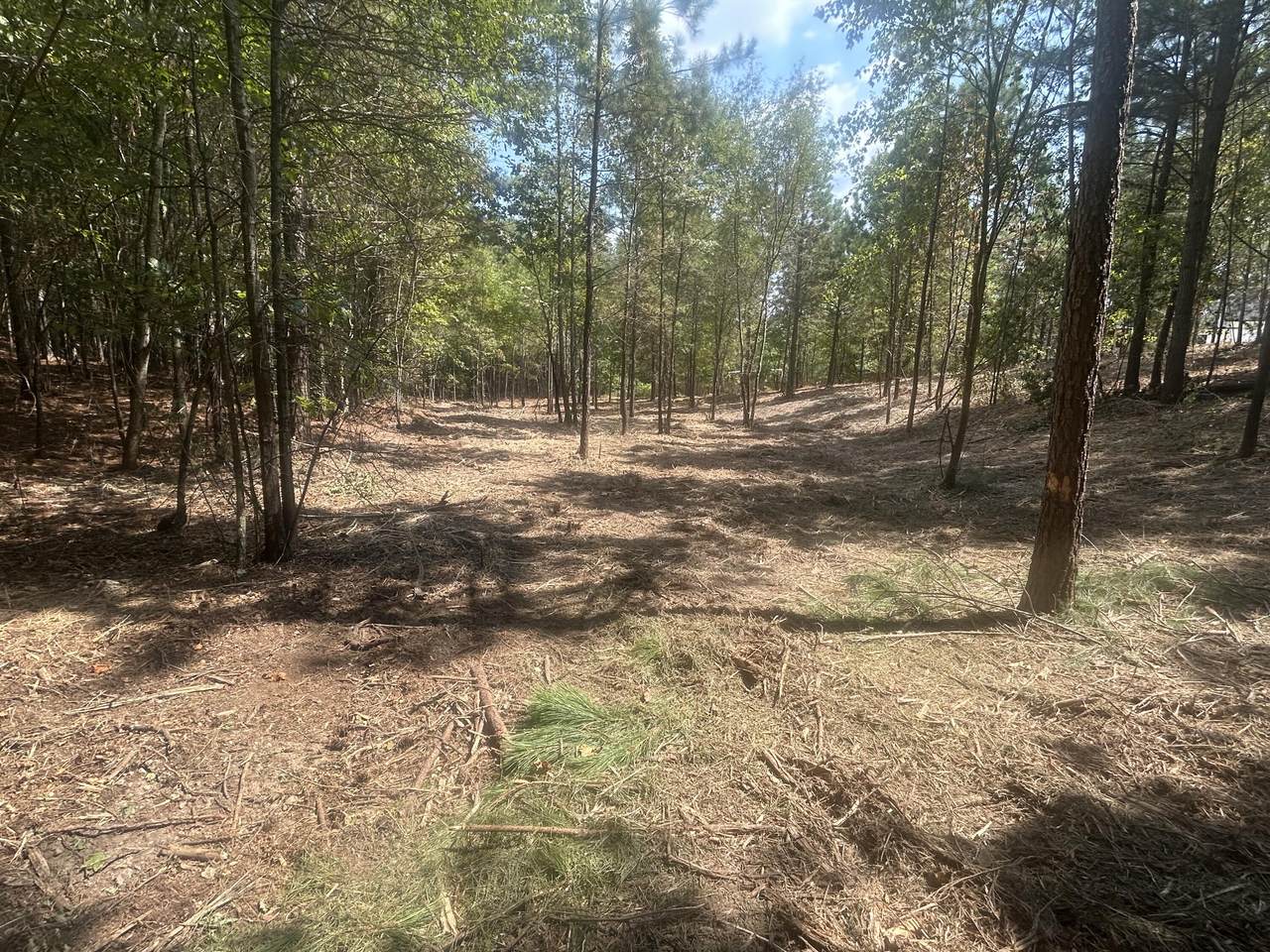 13 Stonechase Lane - Photo 1