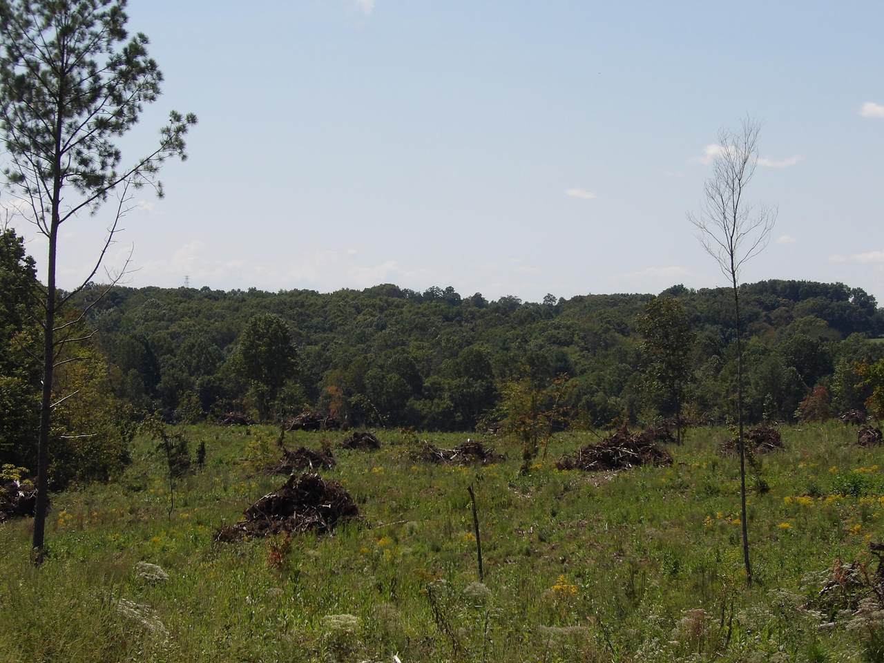 100 Summer City Road - Photo 1