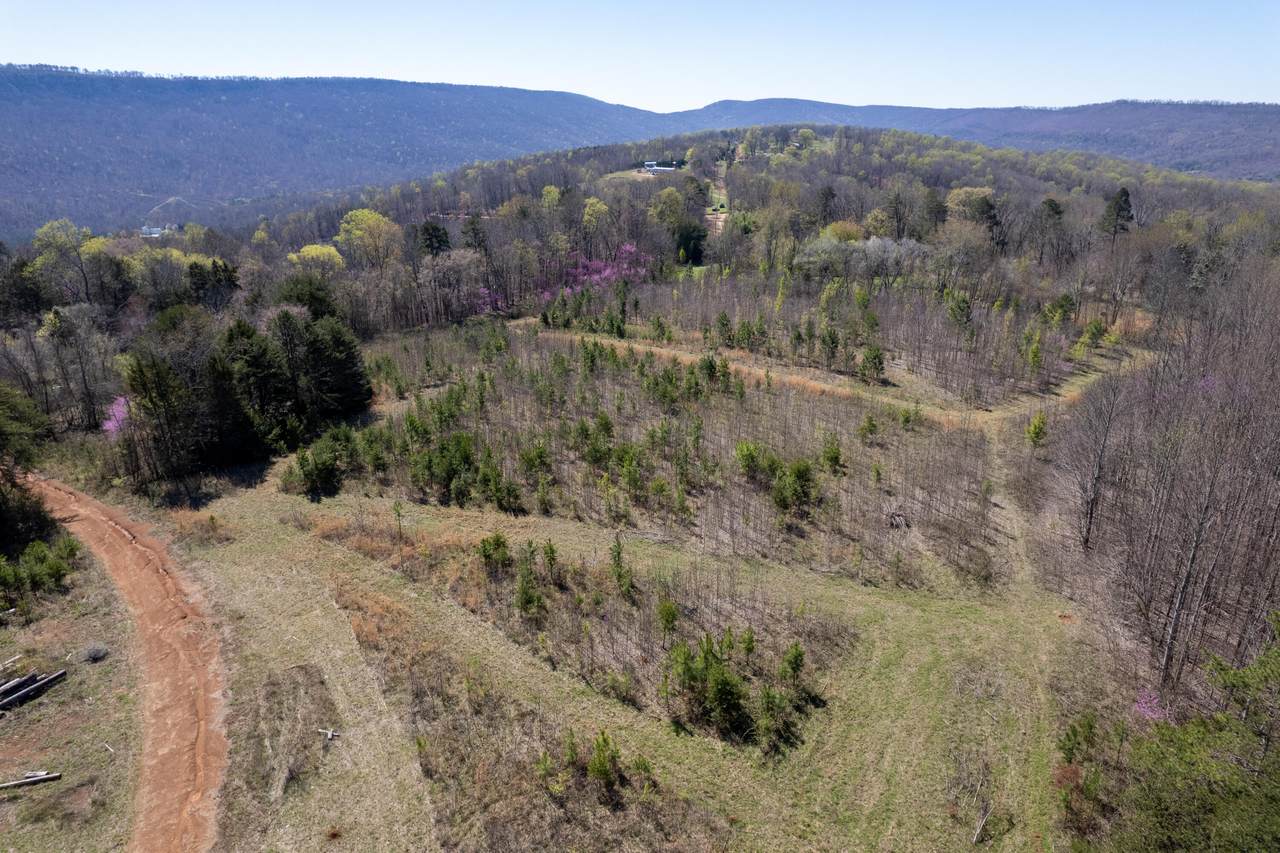 3607 Co Rd 792 - Photo 1