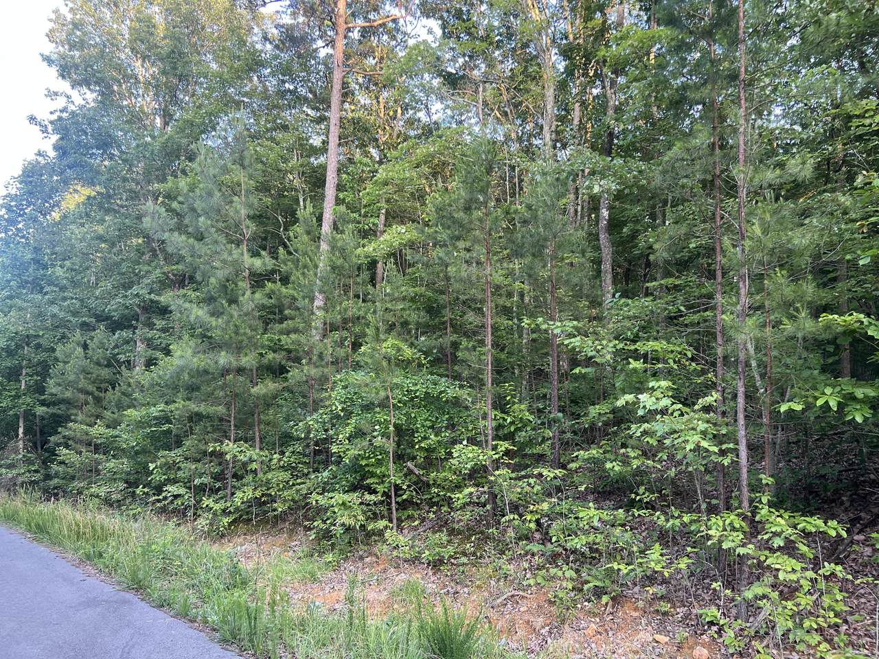 45 Wohalie Lane - Photo 1