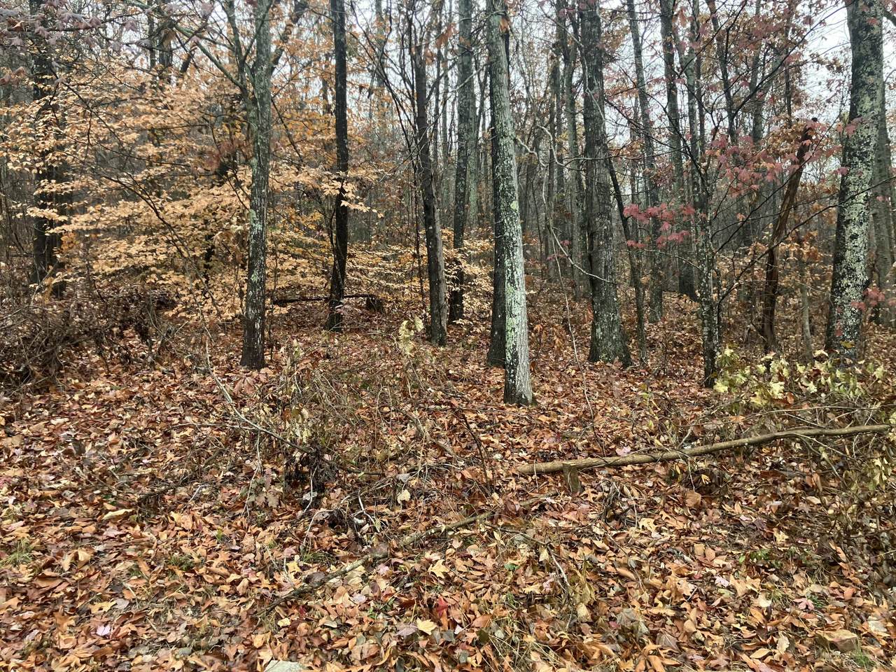 5 Timber Ridge - Photo 1