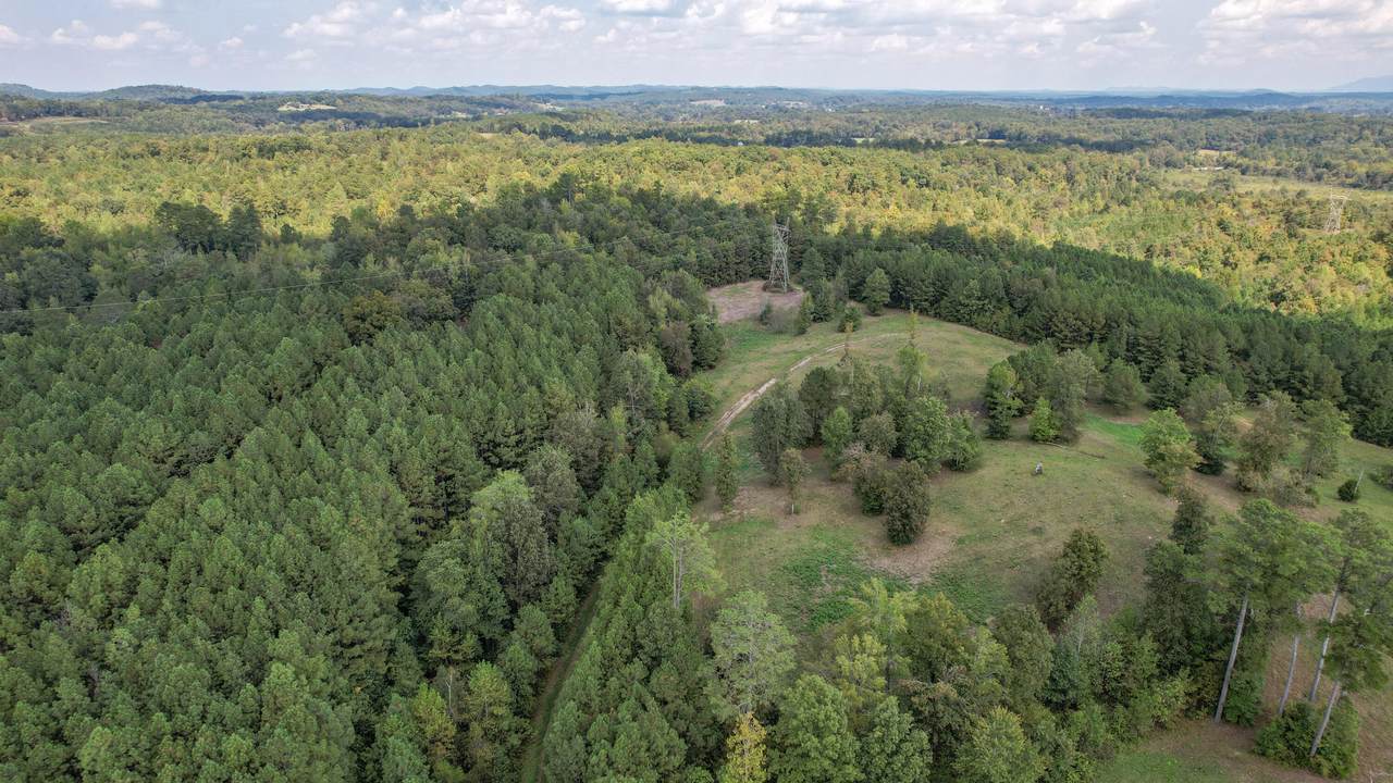 80.93 Acre Wright Lane - Photo 1