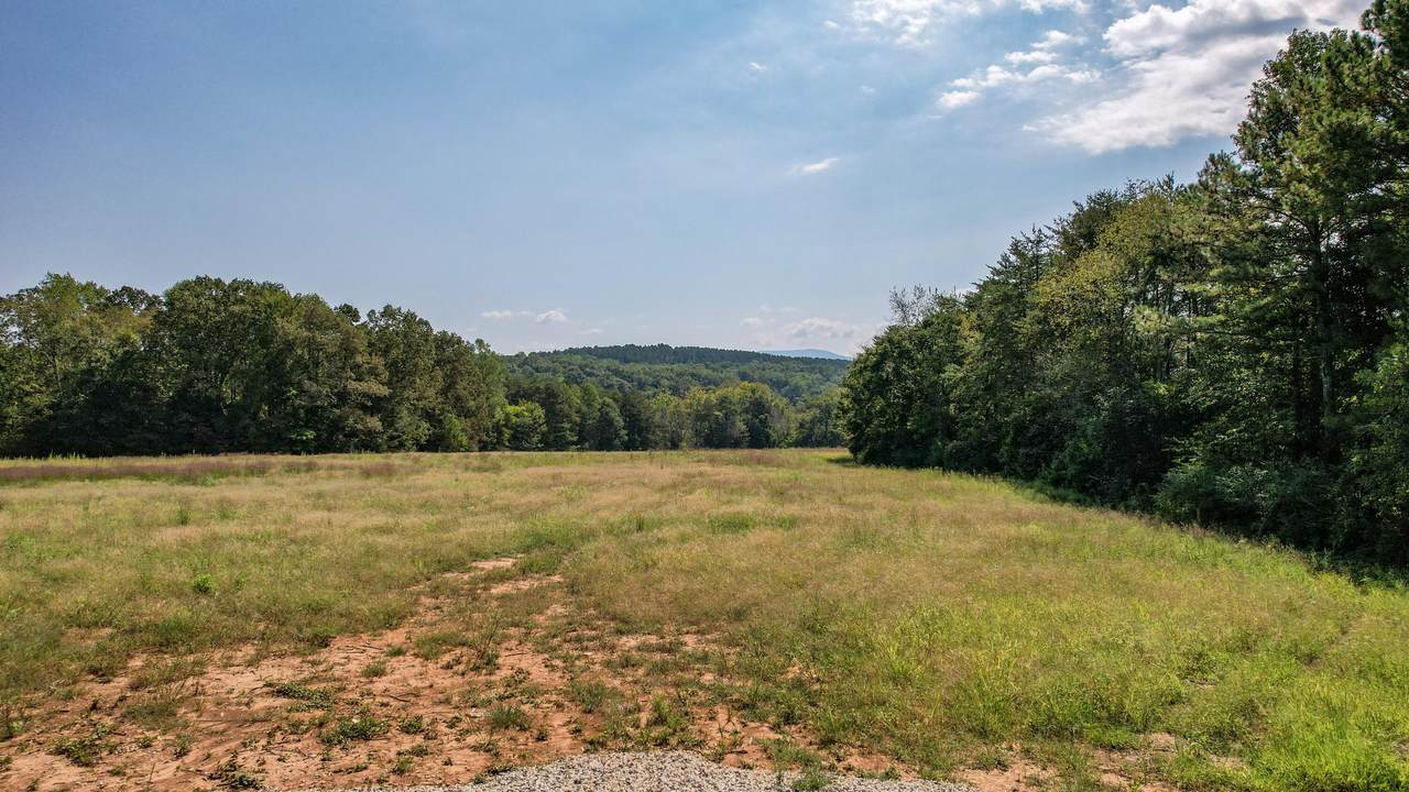 58.67 Acre Bullens Road - Photo 1