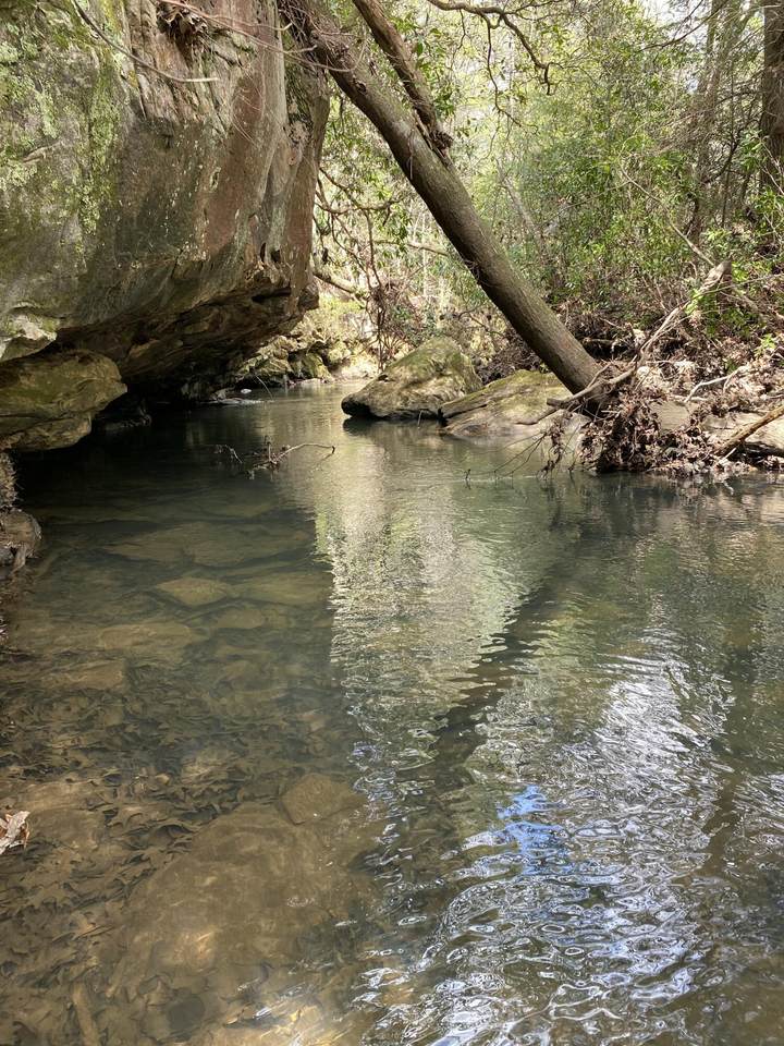 0-2 Lone Wolf Trail - Photo 1