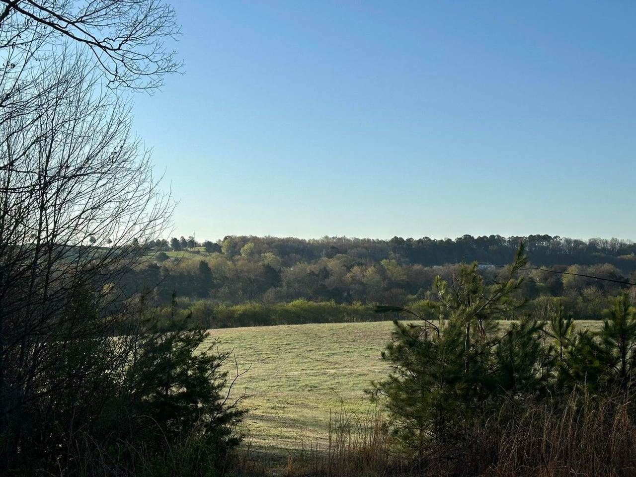 Lot 4 North Lee Highway - Photo 1