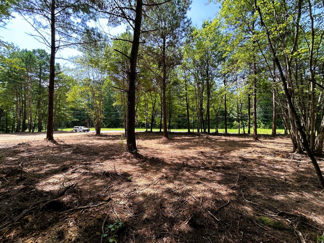 Lot 3 Highway 304 - Photo 1