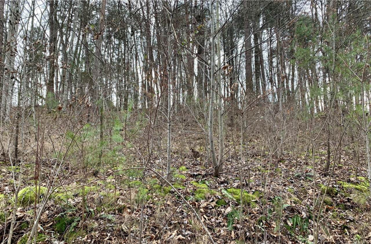 800 Lee Pike - Photo 1