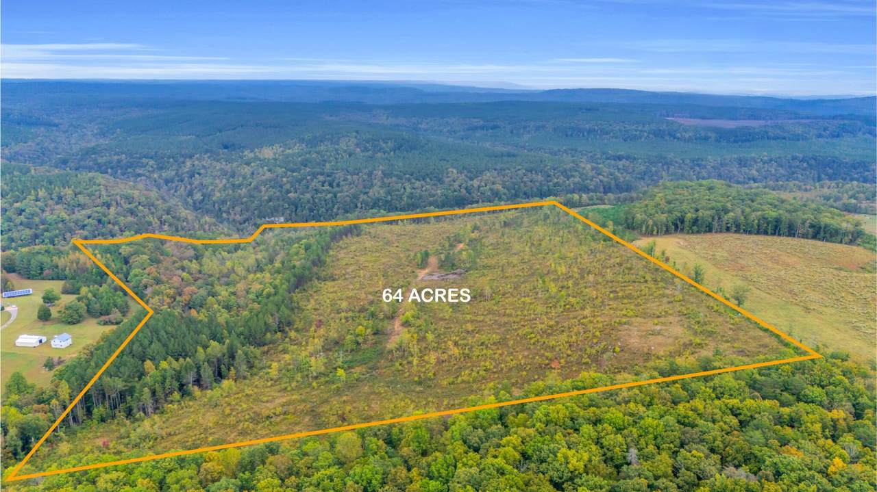 64.23 Ac Worley Road - Photo 1