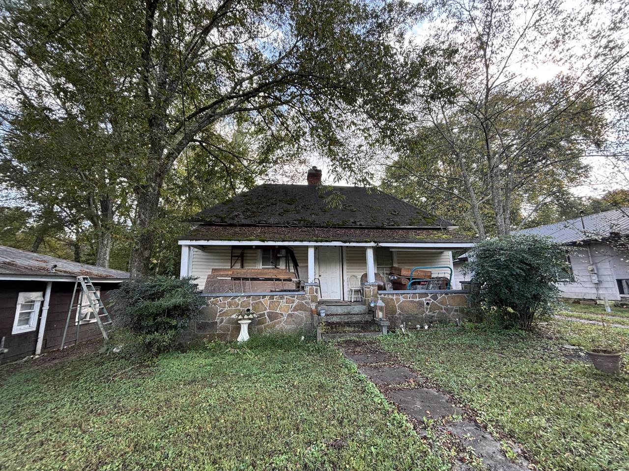 705 Mclemore Street - Photo 1