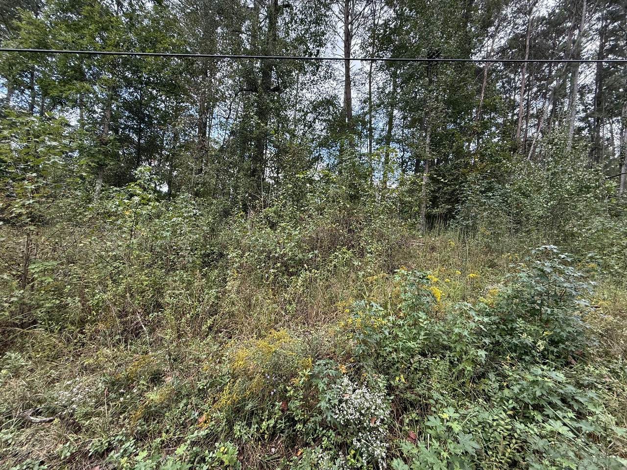 0 Longleaf Drive - Photo 1