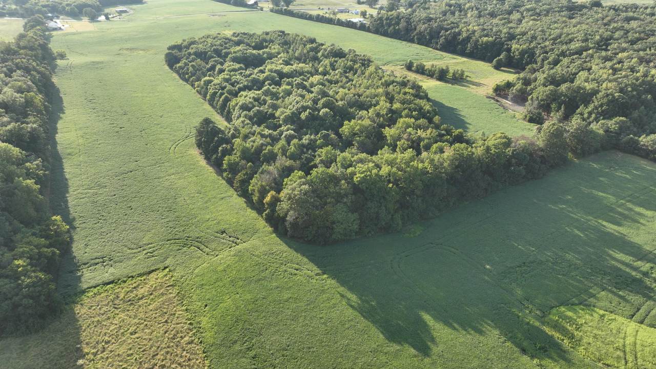 2301 Old Estill Springs Road - Photo 1