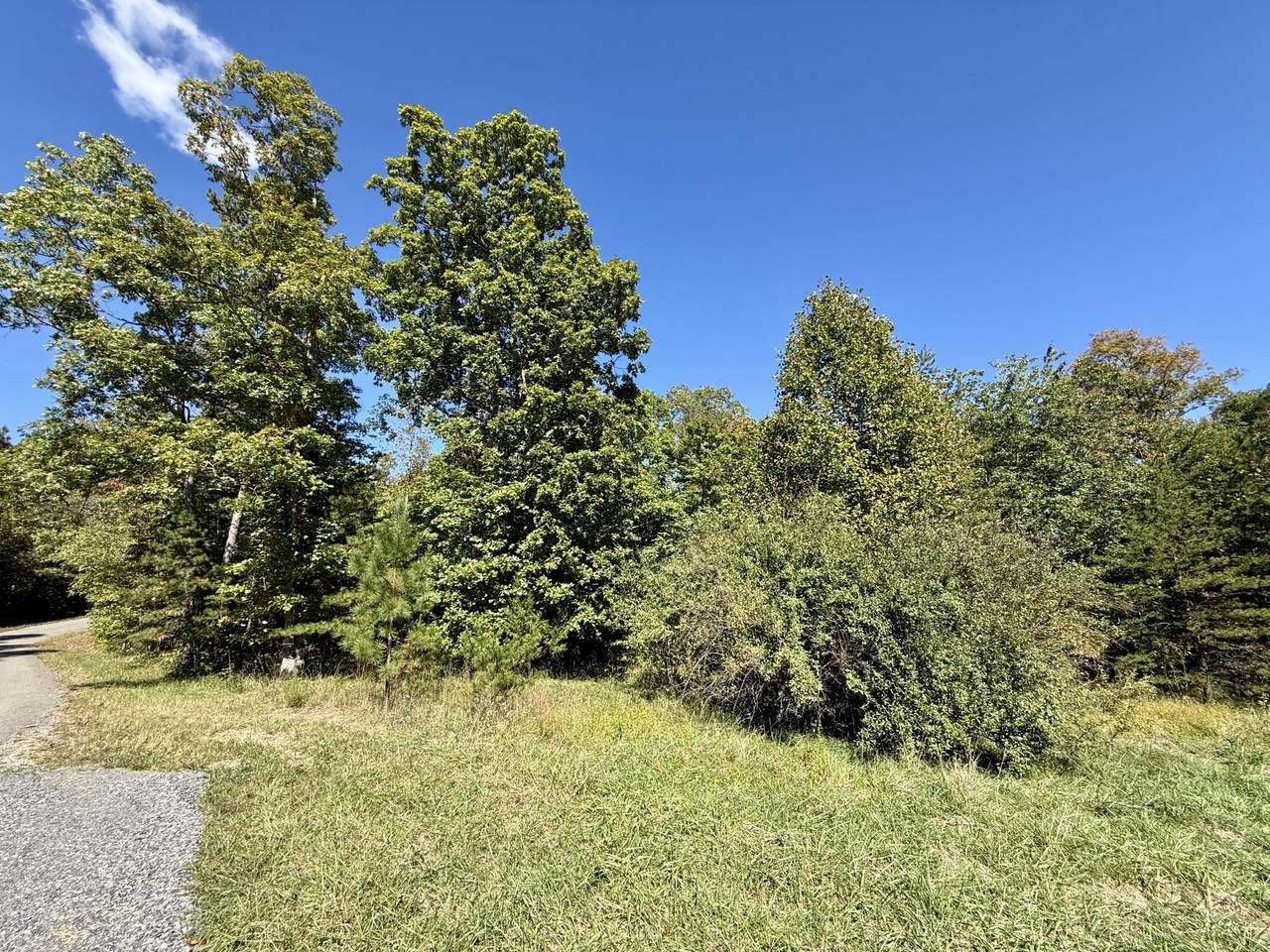 0-Lot 2 Owl Hollow Road - Photo 1