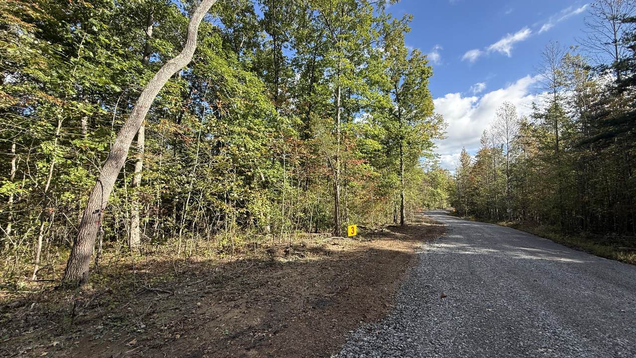 0-Lot 3 Owl Hollow Road - Photo 1