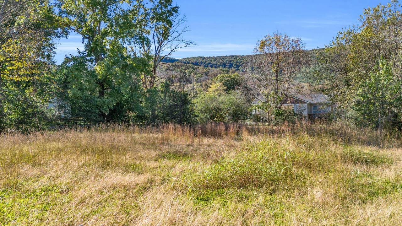 704 Ray Lane - Photo 1