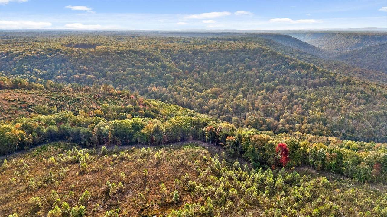 0 Roberts Road - Photo 1