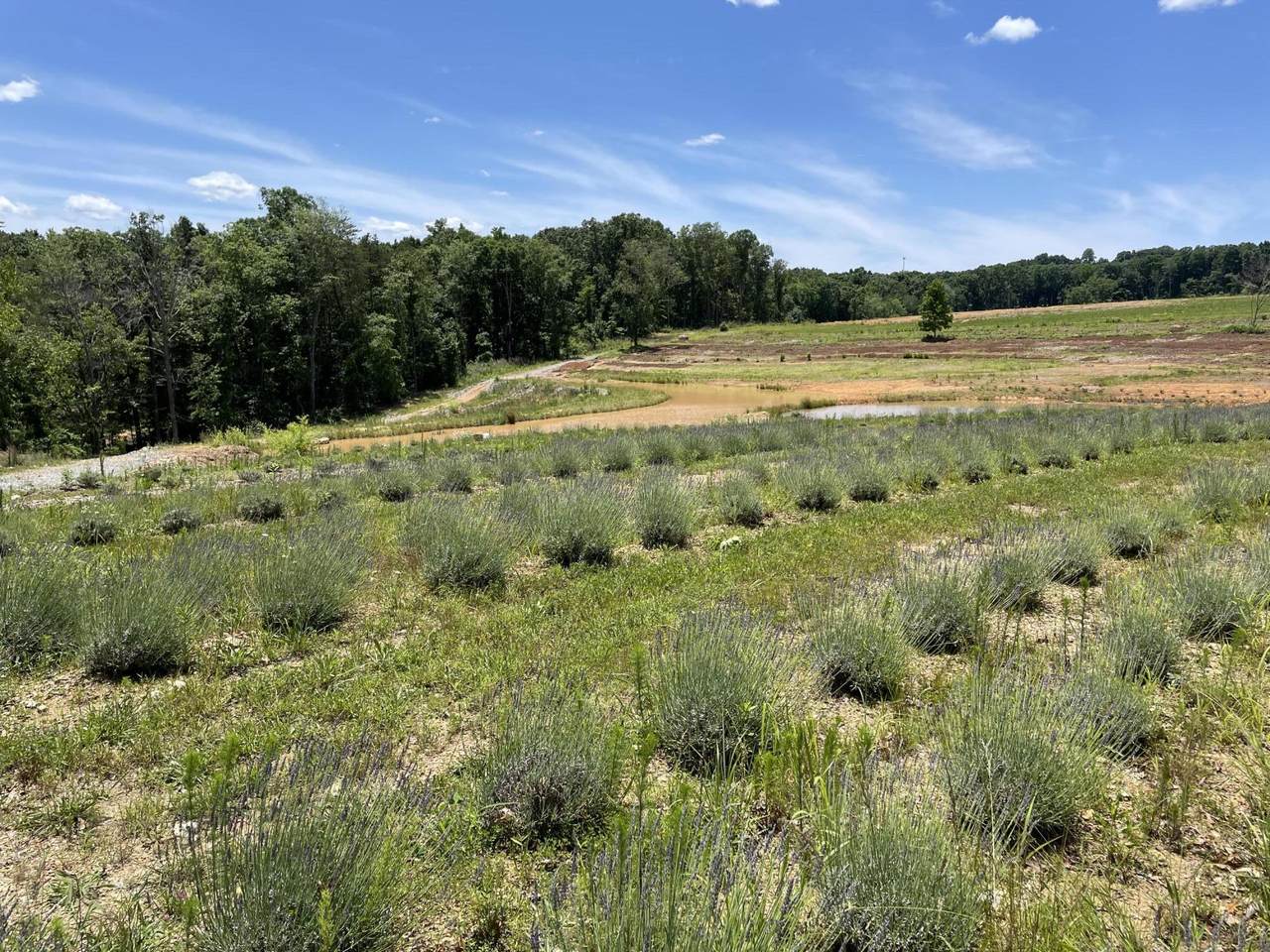 353 Co Rd 170 - Photo 1