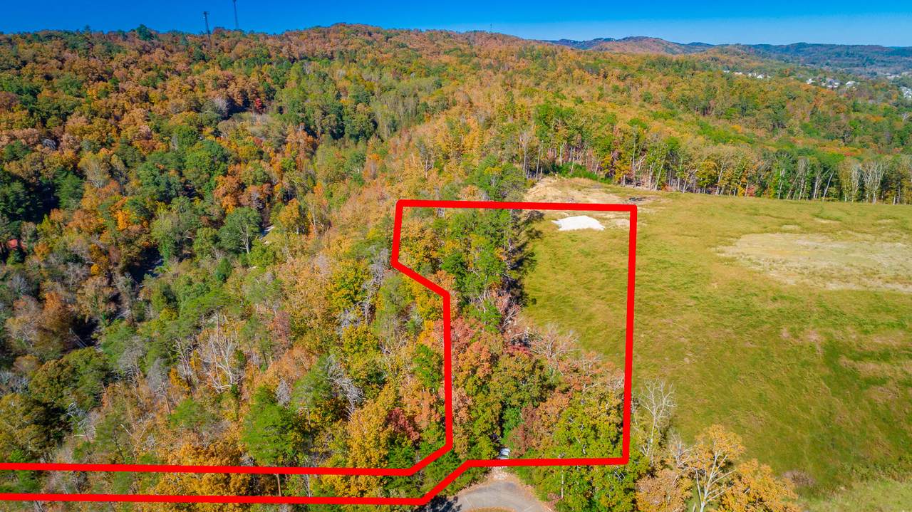 9739 Timberview Trail - Photo 1