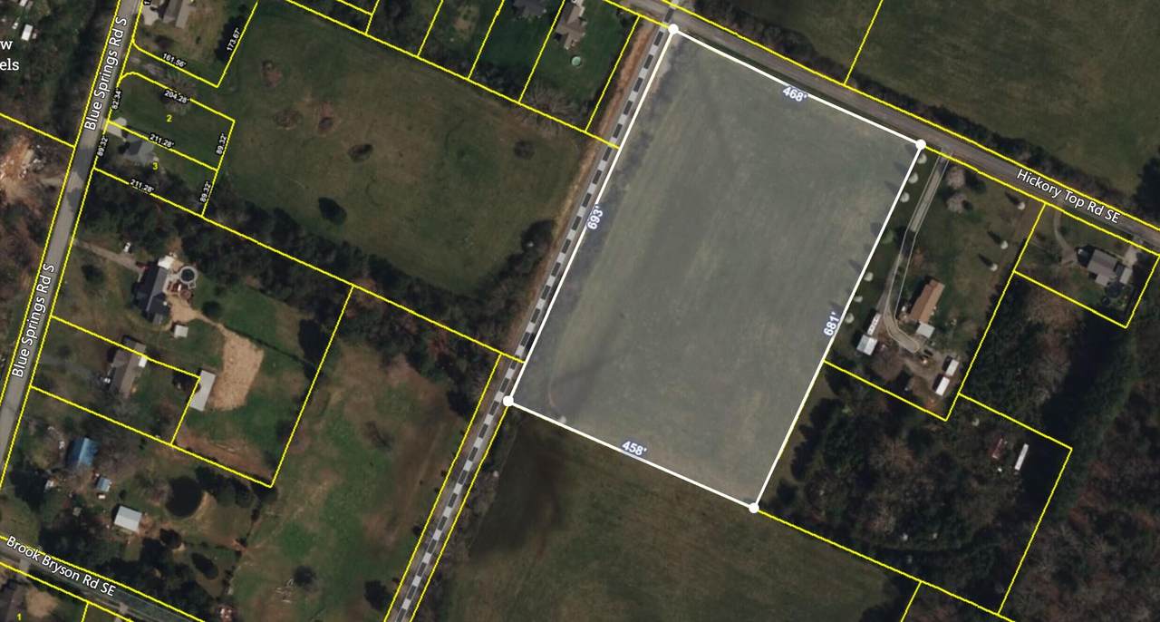 0 Hickory Top Road - Photo 1