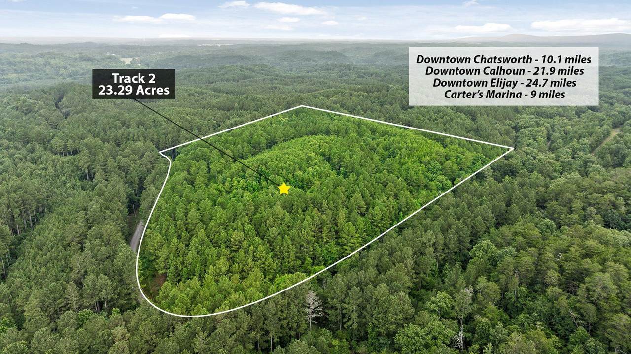 Tract 2 Conniston Road - Photo 1