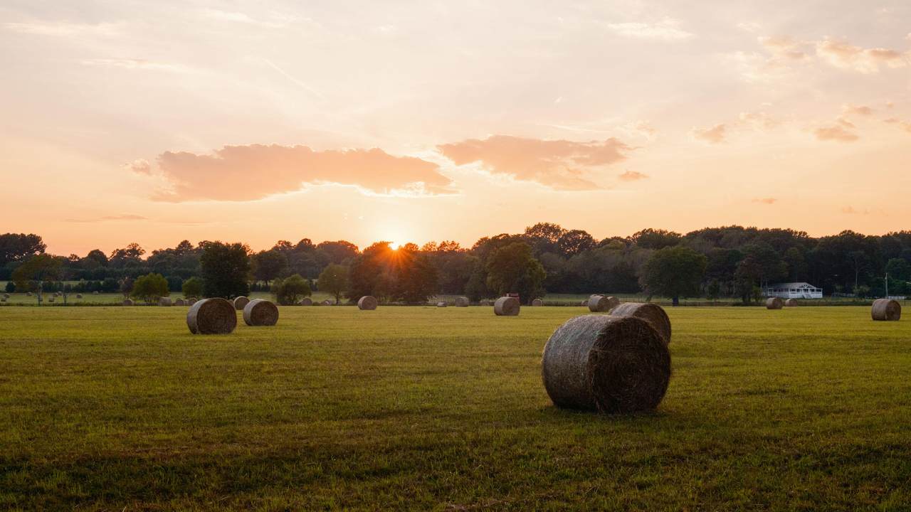 0 Gilliam Road - Photo 1