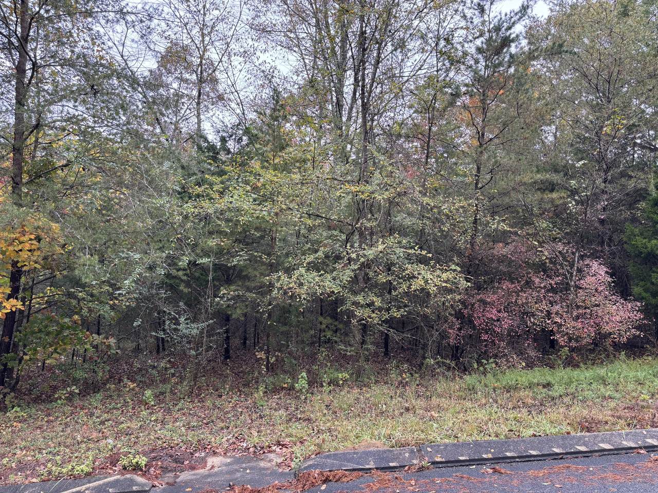 3 Countryside Drive - Photo 1