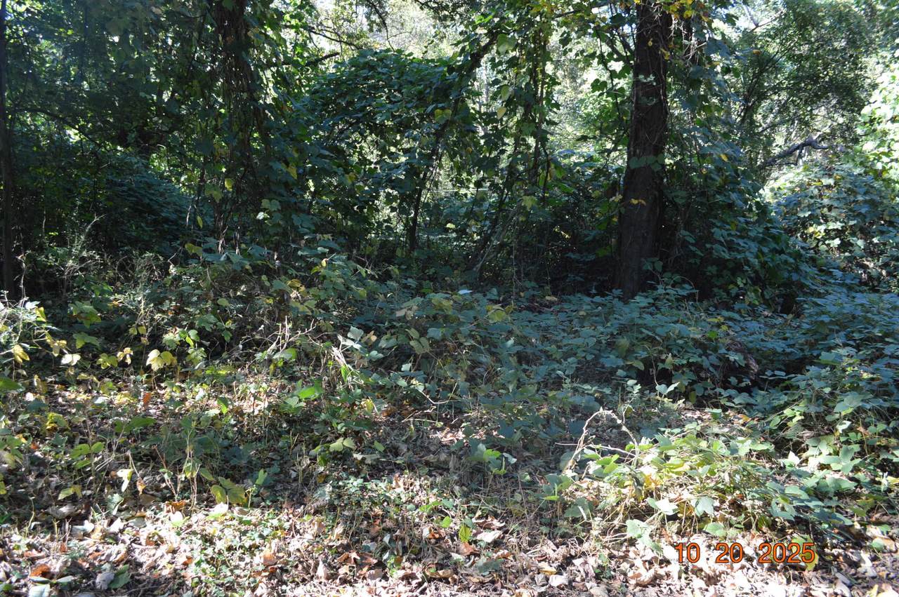 3705 Cross Street - Photo 1