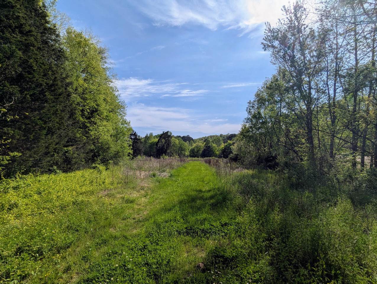 5694 Ladd Springs Road - Photo 1