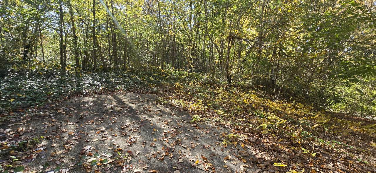 408 Hollywood Drive - Photo 1