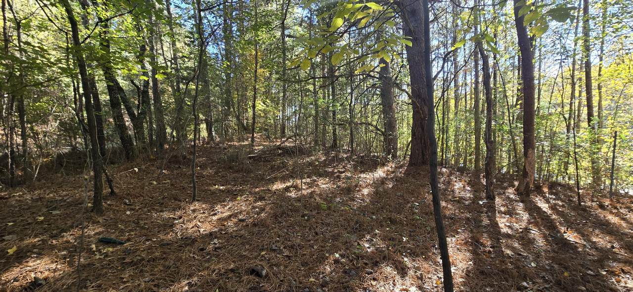 27 Foster Boulevard - Photo 1