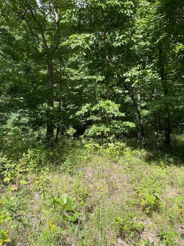 0-296 Roaring Creek Road - Photo 1