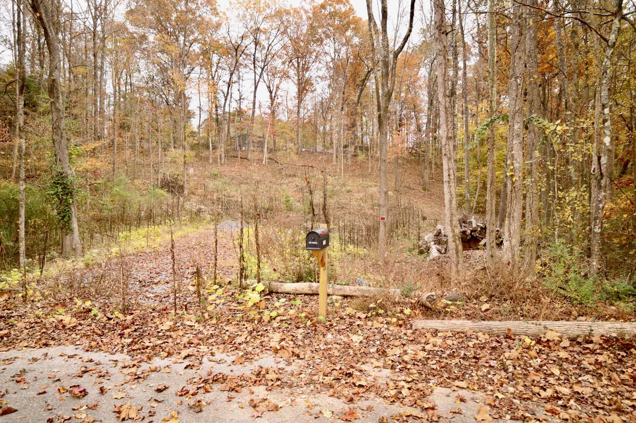 13768 Dell Drive - Photo 1