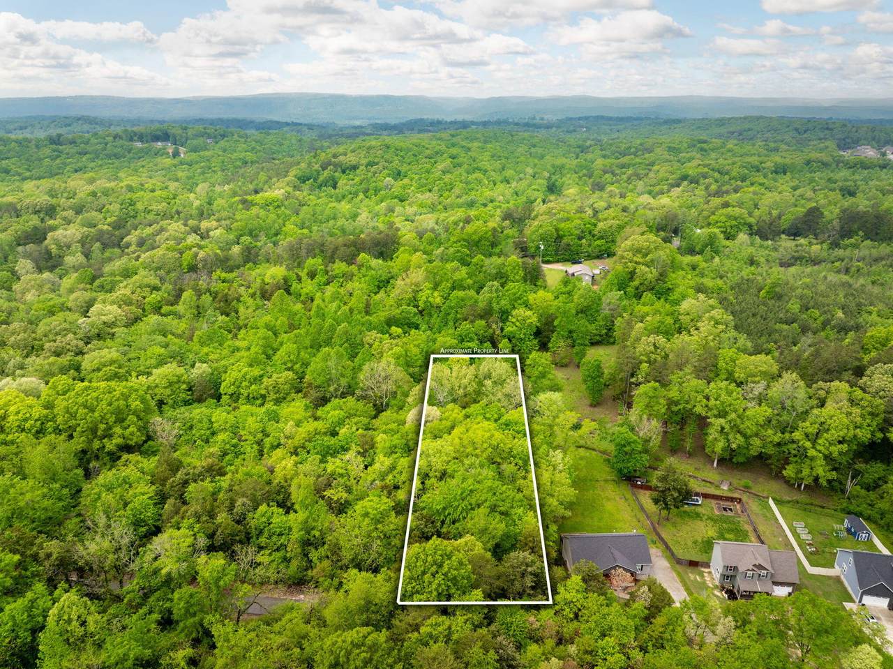 14009 Mt Annie Church Road - Photo 1