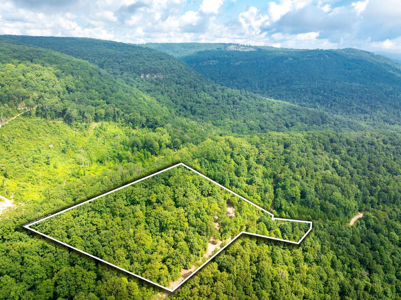 0-Lot 11 Jericho Road - Photo 1