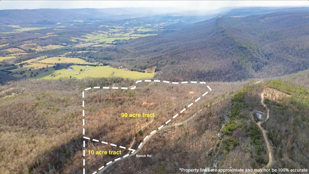 0-Tract 10 Lee Station Mountain Road - Photo 1