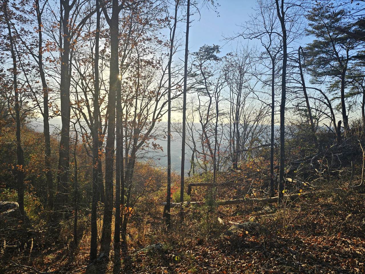 407 Brow Wood Lane - Photo 1