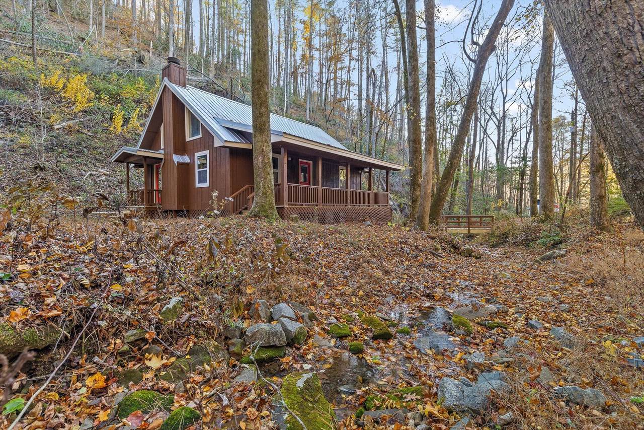 180 Cohutta Forest Road - Photo 1