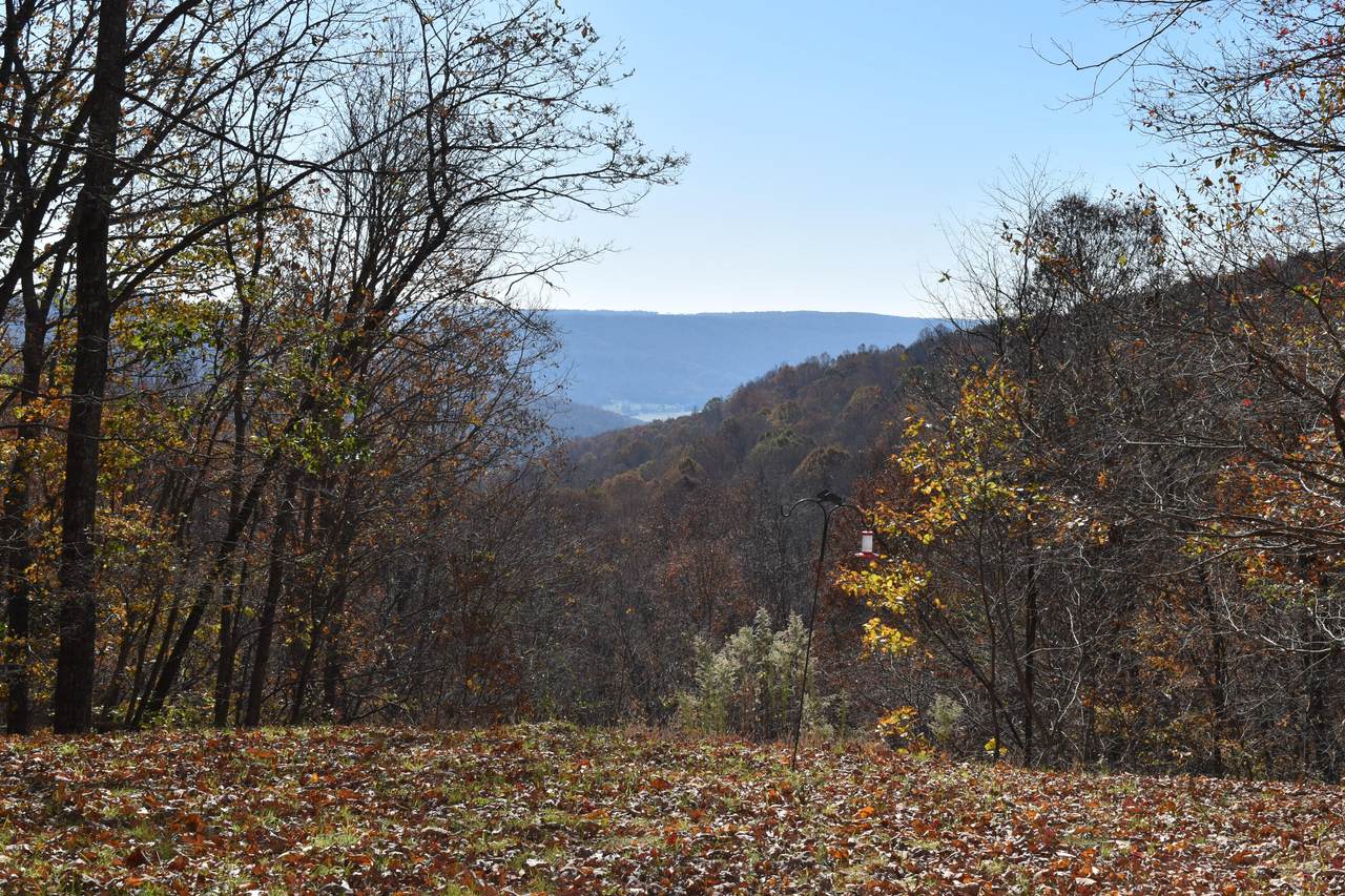 1454 Stage Coach Road - Photo 1